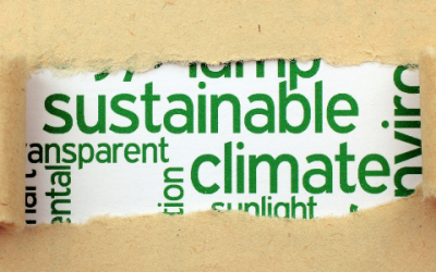 2021 is the year to make your Brand Sustainable