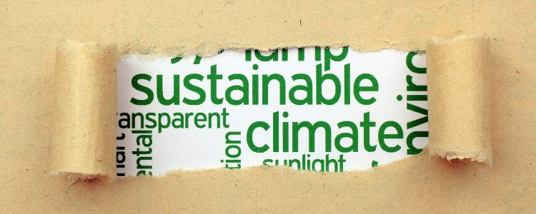 2021 is the year to make your Brand Sustainable